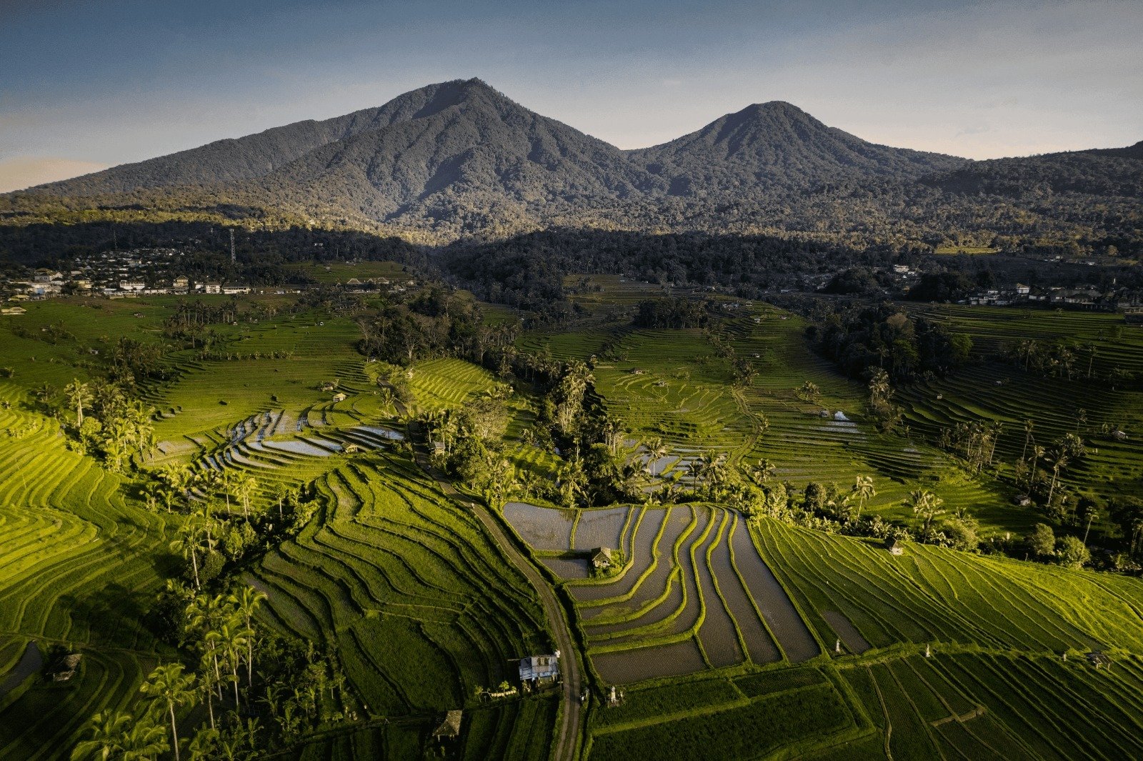 Jatiluwih Rice Terrace