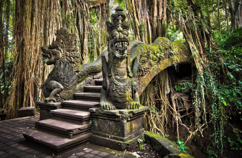 The Ubud Monkey Forest